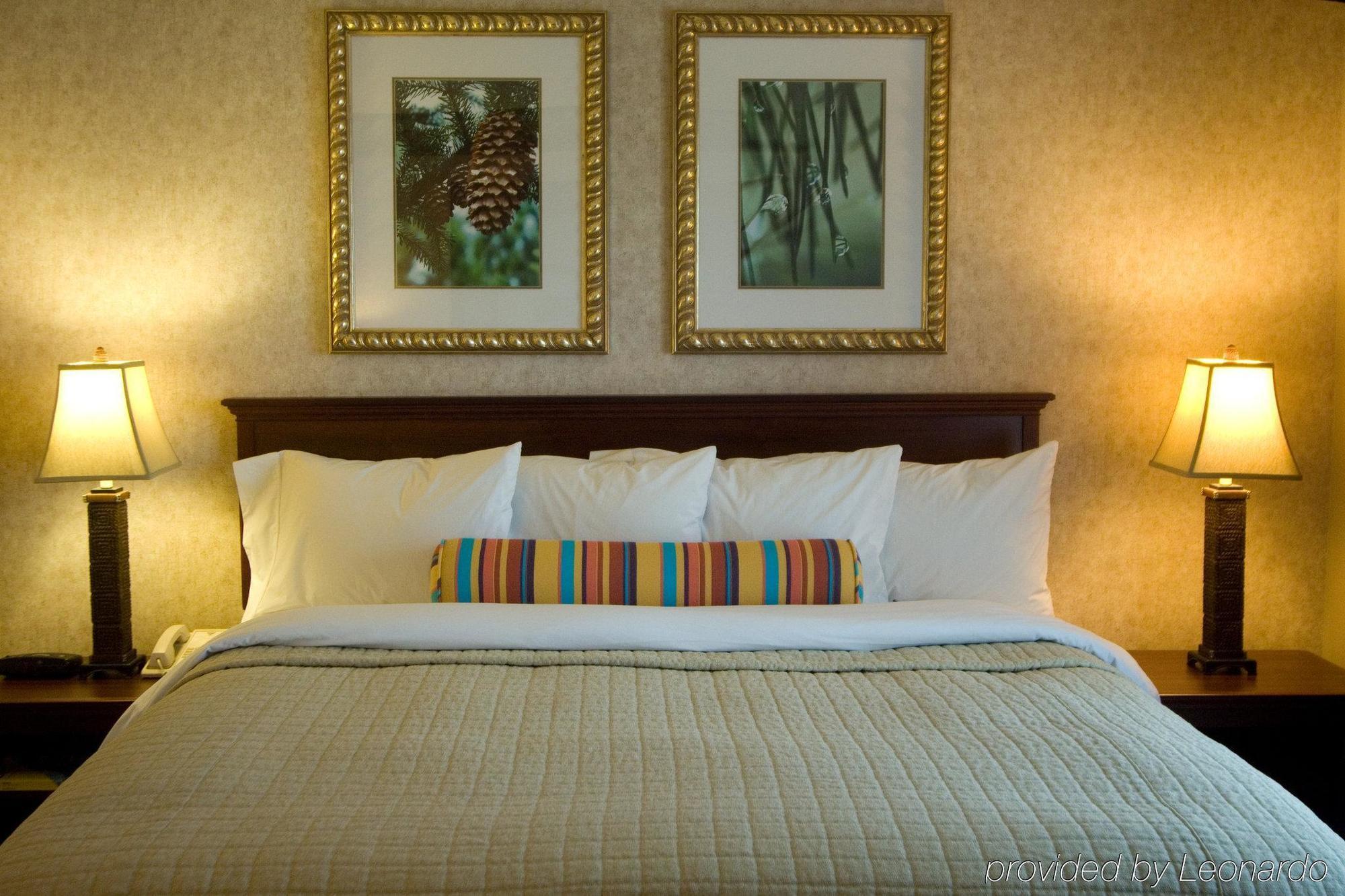Phoenix Inn Suites Albany Szoba fotó